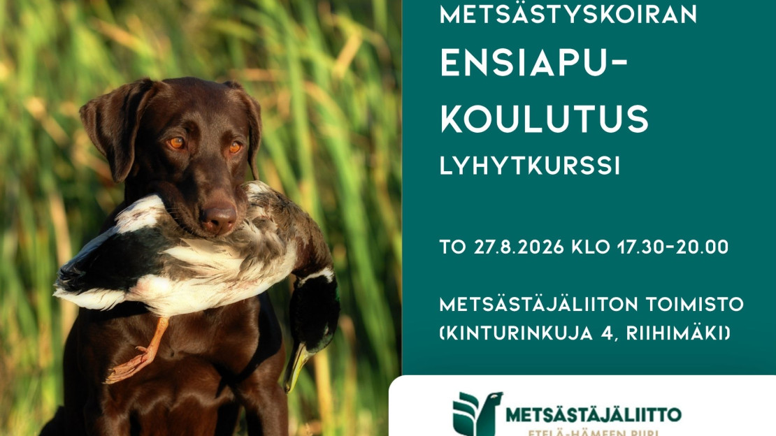 Metsästyskoirien EA-koulutus